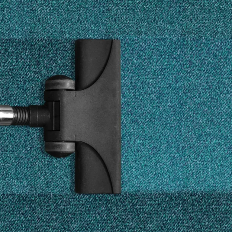Expert Carpet Cleaning Services